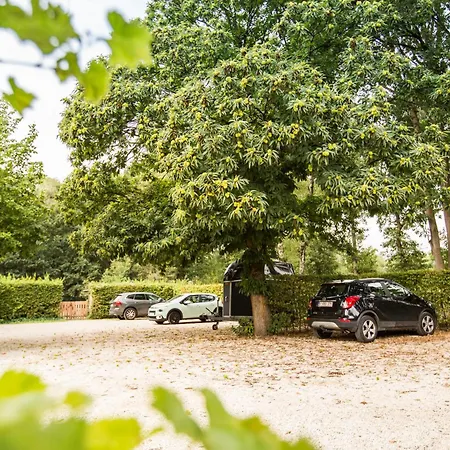Wellness Hasselt B&B-2